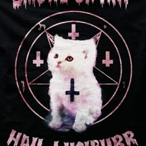 Meet your Posher, Lisarie